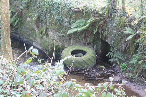Lismore Canal lock 02_resize