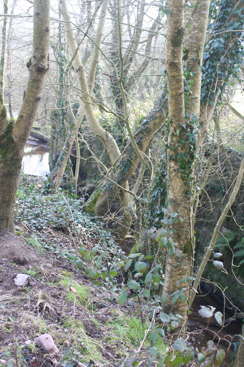 Lismore Canal lock 03_resize