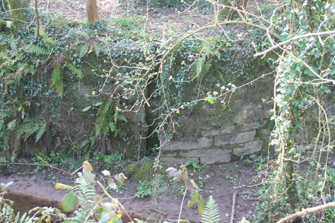 Lismore Canal lock 04_resize