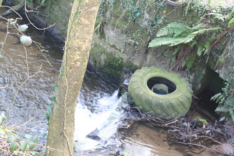 Lismore Canal lock 07_resize