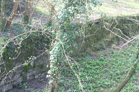 Lismore Canal lock 09_resize