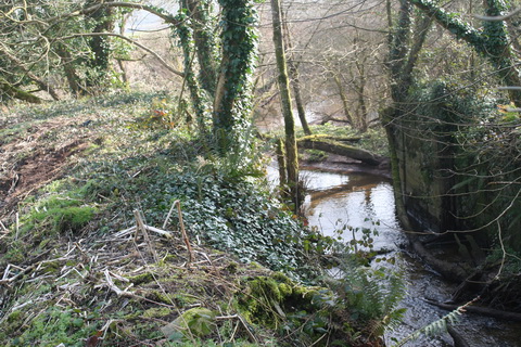 Lismore Canal lock 12_resize