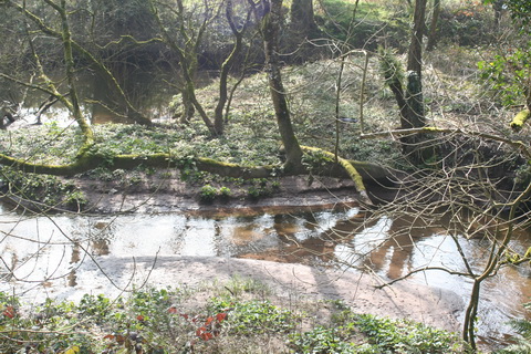 Lismore Canal lock 18_resize