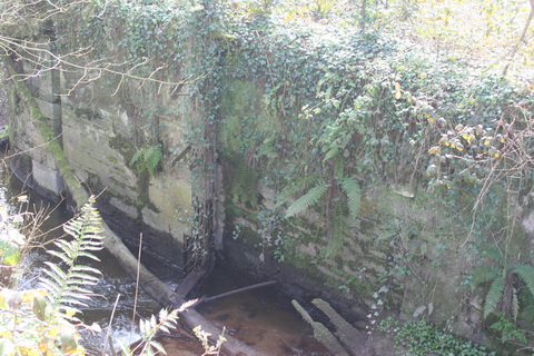 Lismore Canal lock 20_resize