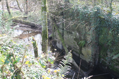 Lismore Canal lock 21_resize