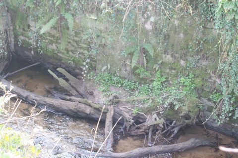 Lismore Canal lock 25_resize