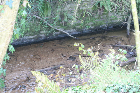 Lismore Canal lock 26_resize