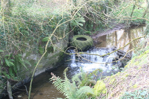 Lismore Canal lock 28_resize
