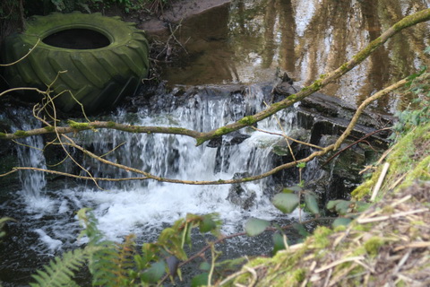Lismore Canal lock 31_resize