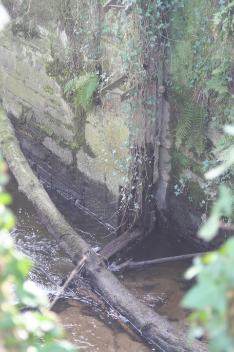 Lismore Canal lock 39_resize