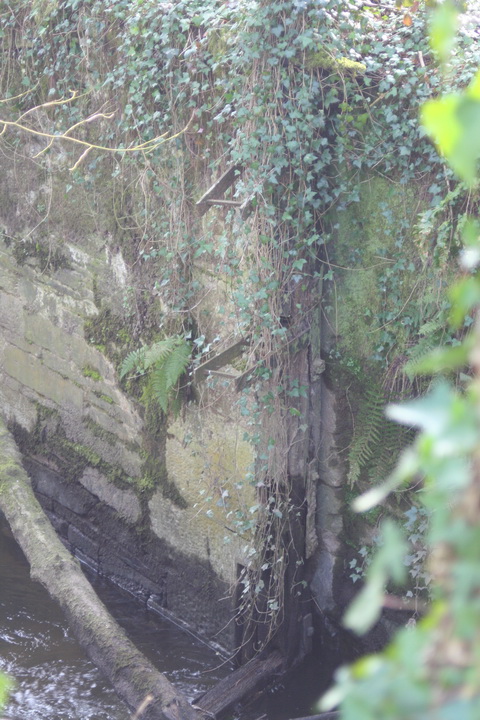 Lismore Canal lock 43_resize