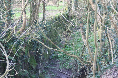 Lismore Canal lock 47_resize