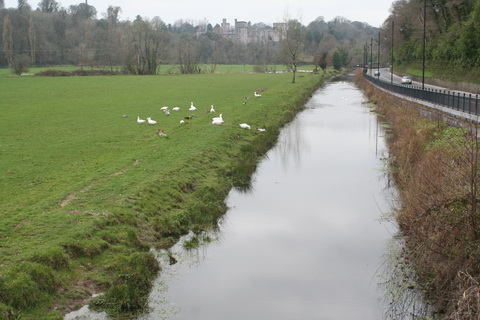 Lismore Canal upper bridge and above 10_resize