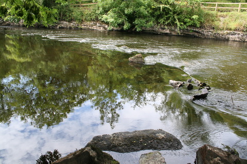 Possible remains of distillery weir_resize