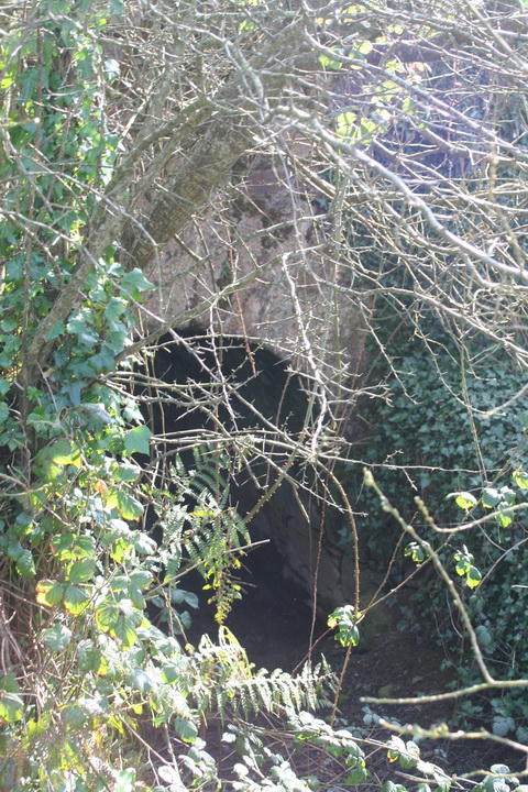 River Brickey 020_resize