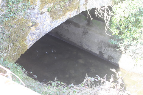 River Brickey 040_resize