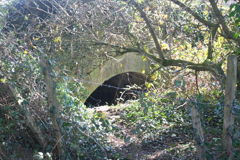 River Brickey 044_resize