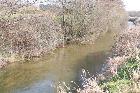 River Brickey 057_resize