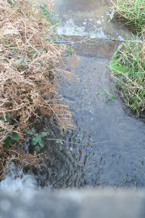 River Brickey 067_resize