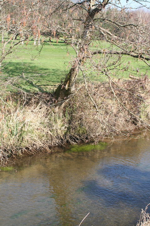 River Brickey 071_resize