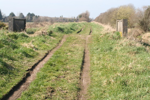 River Brickey 081_resize