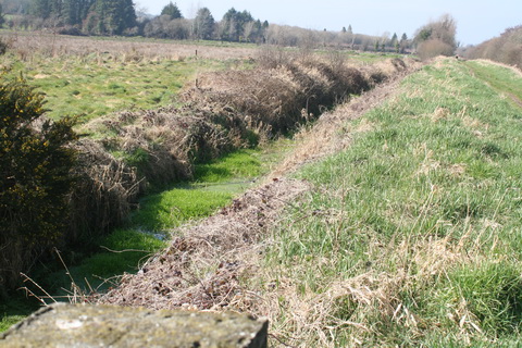 River Brickey 087_resize