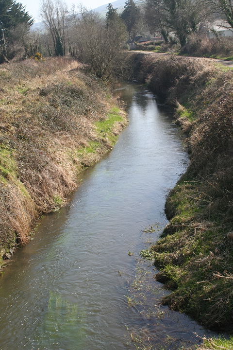 River Brickey 099_resize