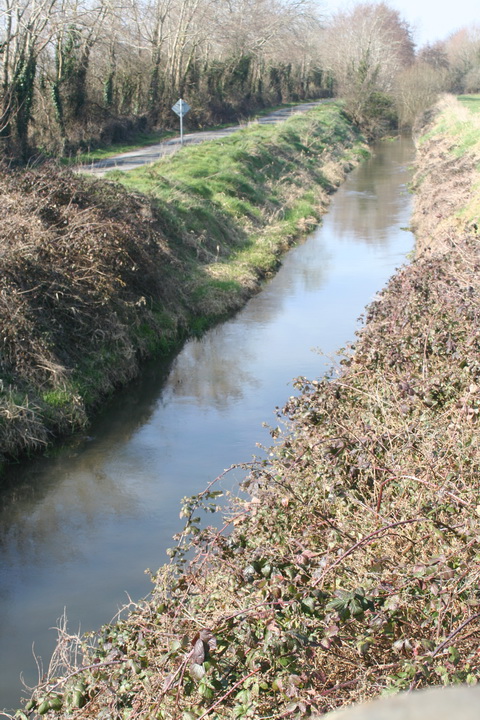 River Brickey 100_resize