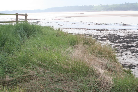 Purton hulks tanker 03_resize