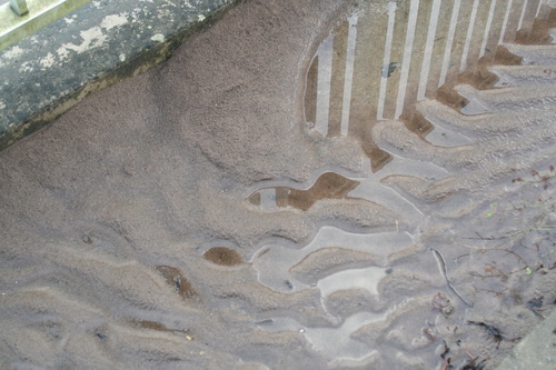 Annacotty 20151214 03_resize