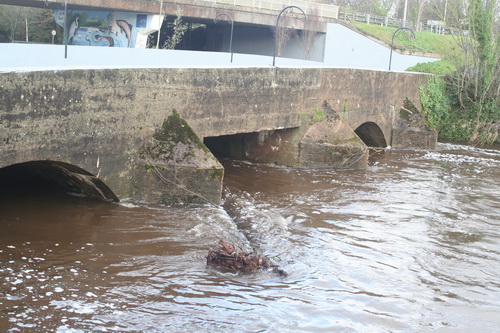 Annacotty 20151214 12_resize