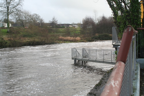 Annacotty 20151214 14_resize