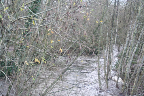 Plassey Millstream 20151214 01_resize