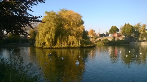Blessington Street Basin (Michael Geraghty) November 2015 01_resize