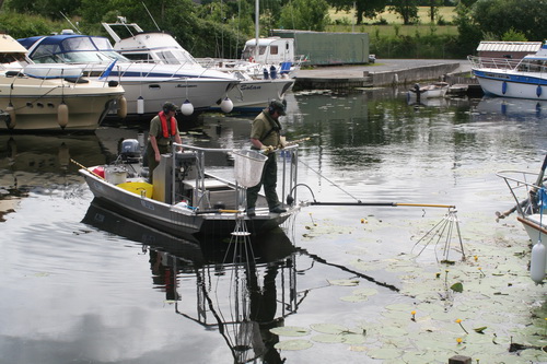 Hunting L Derg monster 02_resize